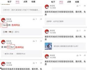 视频爆料规则最新,合规发布，守护网络空间清朗